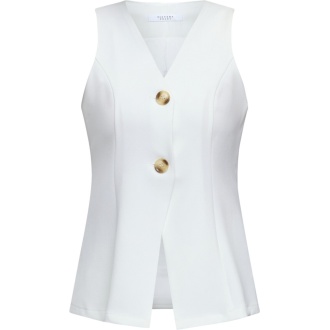 Alternative view of Great vest
